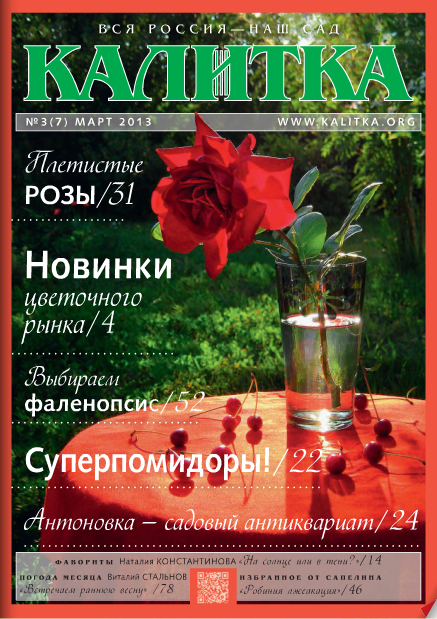Журнал «Калитка» №03 / март 2013