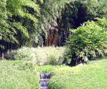 Бамбуковый сад в Прафрансе