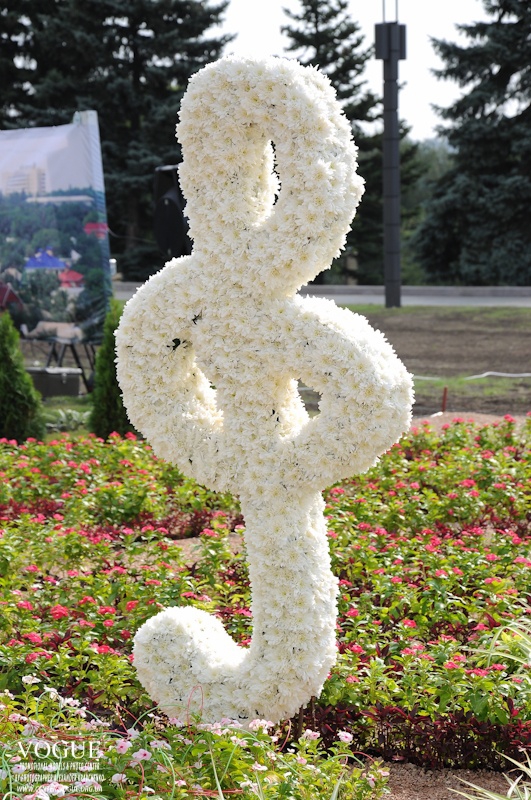 В Донецке прошла выставка цветов