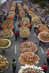 Прошел знаменитый фестиваль цветов в Медельине
