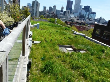 В Осло будут высаживать растения на крыши домов