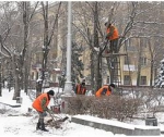 В Волгограде планируется реконструкция скверов и парков