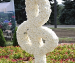В Донецке прошла выставка цветов