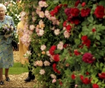 Принц Гарри будет участвовать в выставке цветов в Челси