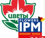 Цветы/Flowers-IPM 2013