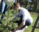 В Перми объявлен конкурс на фотоснимок самого необычного дерева