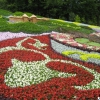 В Киеве откроется сказочная выставка цветов