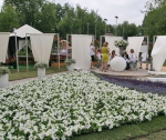 Фестиваль садов и цветов "Moscow Flower Show"