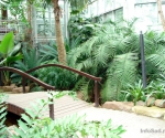 Ботанический сад Palmengarten