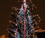 Фестиваль Рождественских елок в Риге. Декабрь, 2012 г.