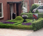 Голландские сады и садики
