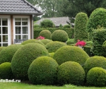 Голландские сады и садики